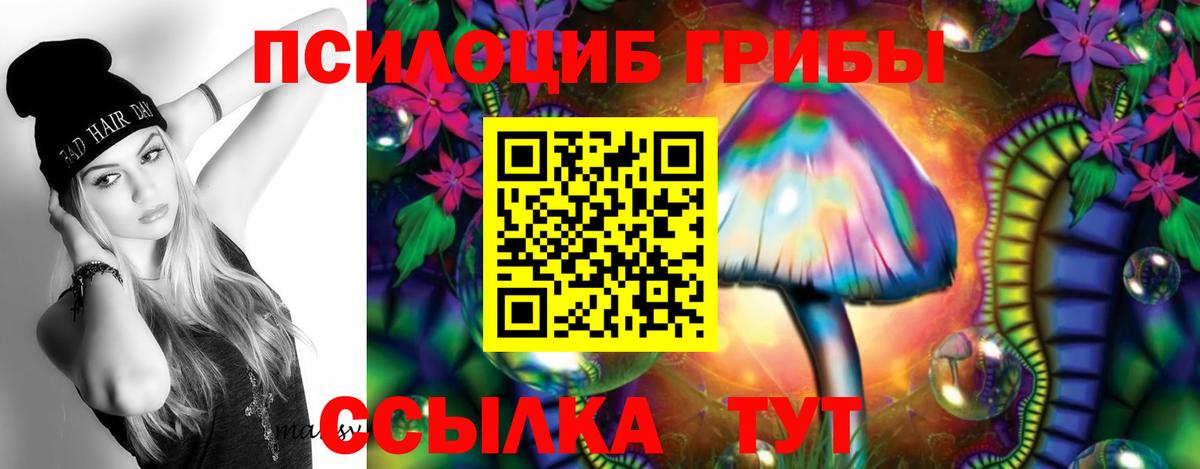 Псилоцибиновые грибы Magic Shrooms  Вход с VPN  Улан-Удэ  Псилоцибиновые грибы MAGIC MUSHROOMS 